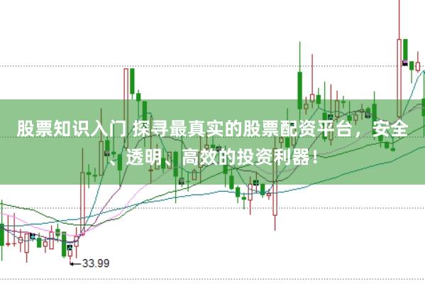股票知识入门 探寻最真实的股票配资平台，安全、透明、高效的投资利器！