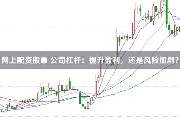 网上配资股票 公司杠杆：提升盈利，还是风险加剧？