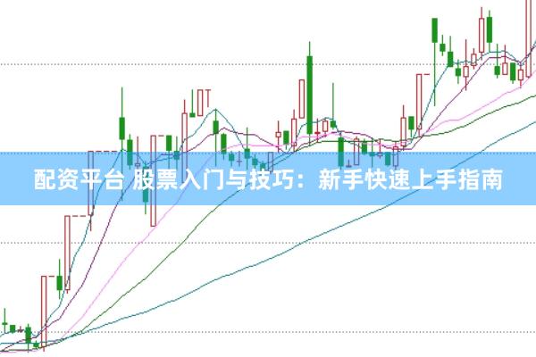 配资平台 股票入门与技巧：新手快速上手指南