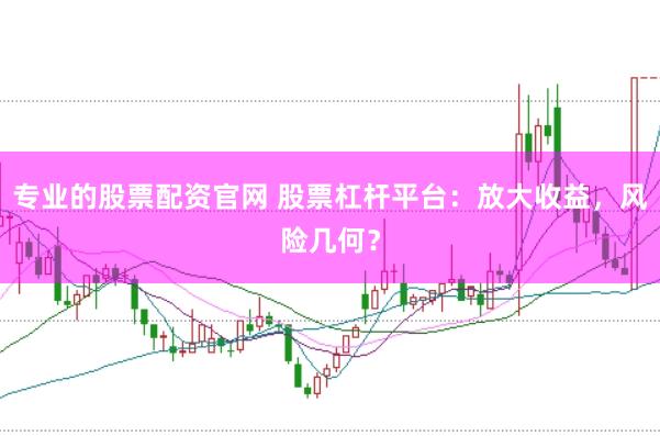专业的股票配资官网 股票杠杆平台：放大收益，风险几何？