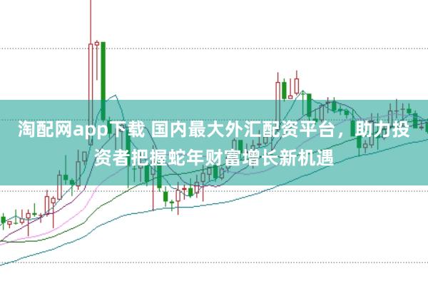 淘配网app下载 国内最大外汇配资平台，助力投资者把握蛇年财富增长新机遇