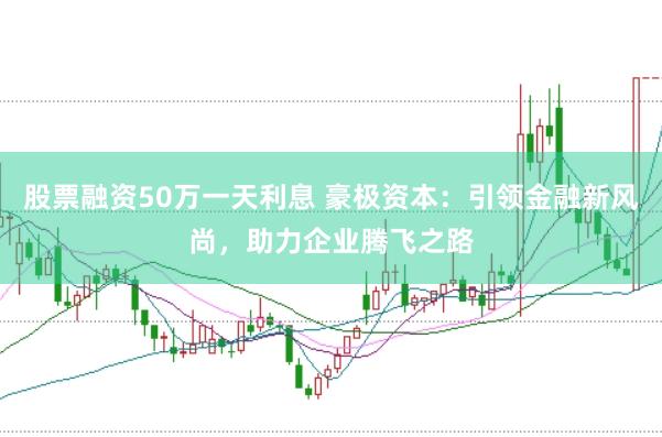股票融资50万一天利息 豪极资本：引领金融新风尚，助力企业腾飞之路