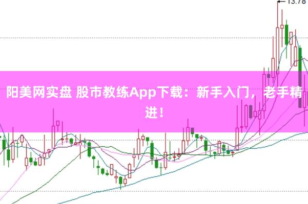 阳美网实盘 股市教练App下载：新手入门，老手精进！