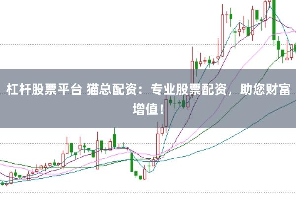 杠杆股票平台 猫总配资：专业股票配资，助您财富增值！