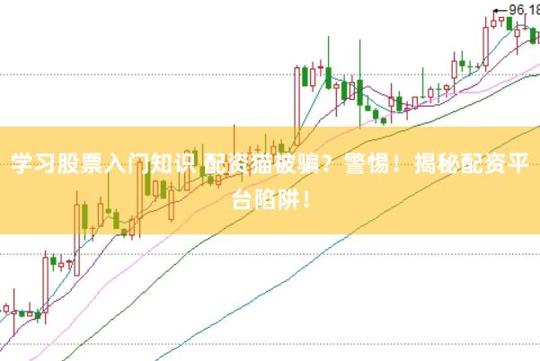 学习股票入门知识 配资猫被骗？警惕！揭秘配资平台陷阱！