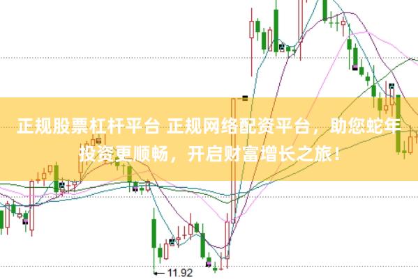 正规股票杠杆平台 正规网络配资平台，助您蛇年投资更顺畅，开启财富增长之旅！