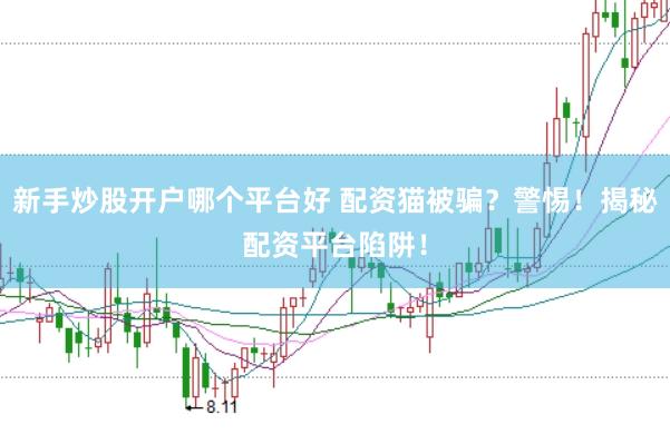 新手炒股开户哪个平台好 配资猫被骗？警惕！揭秘配资平台陷阱！