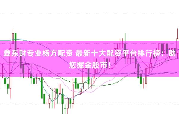 鑫东财专业杨方配资 最新十大配资平台排行榜：助您掘金股市！