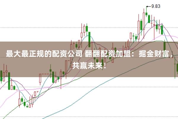 最大最正规的配资公司 翻翻配资加盟：掘金财富，共赢未来！