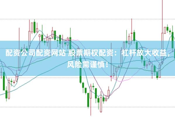 配资公司配资网站 股票期权配资：杠杆放大收益，风险需谨慎！