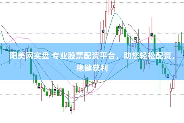 阳美网实盘 专业股票配资平台，助您轻松配资，稳健获利