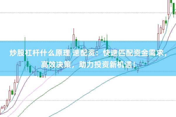 炒股杠杆什么原理 速配资:快速匹配资金需求,高效决策,助力投资新机遇!