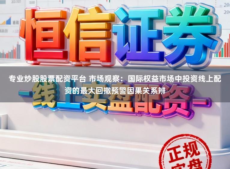 专业炒股股票配资平台 市场观察：国际权益市场中投资线上配资的最大回撤预警因果关系辨